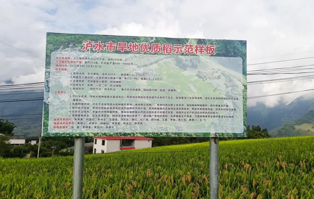 24f395cab57a16a6c7937a31fe8fb786_03ca0d7c-19ca-41c1-b2e3-7d086655d9fe_l.jpg