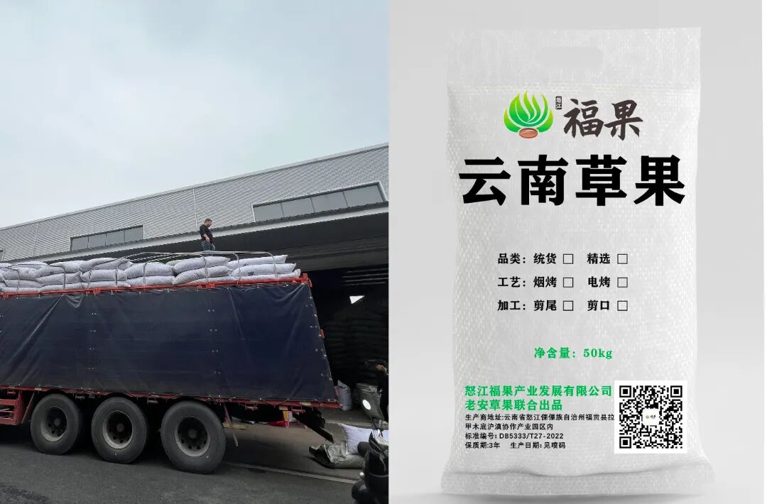 微信图片_20251103105948_463_141 拷贝.jpg