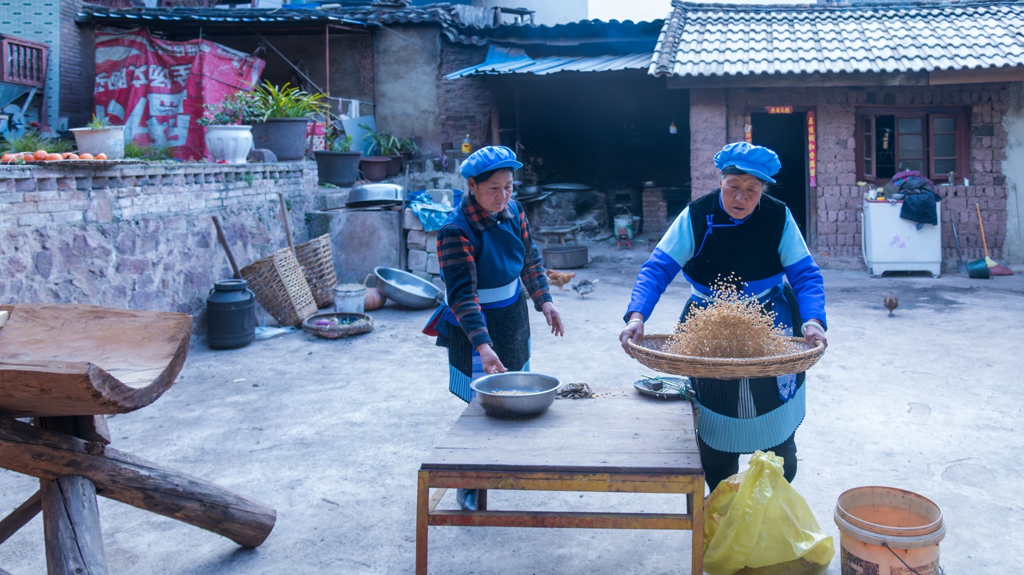 挑选饱满的黄豆，簸除杂质。