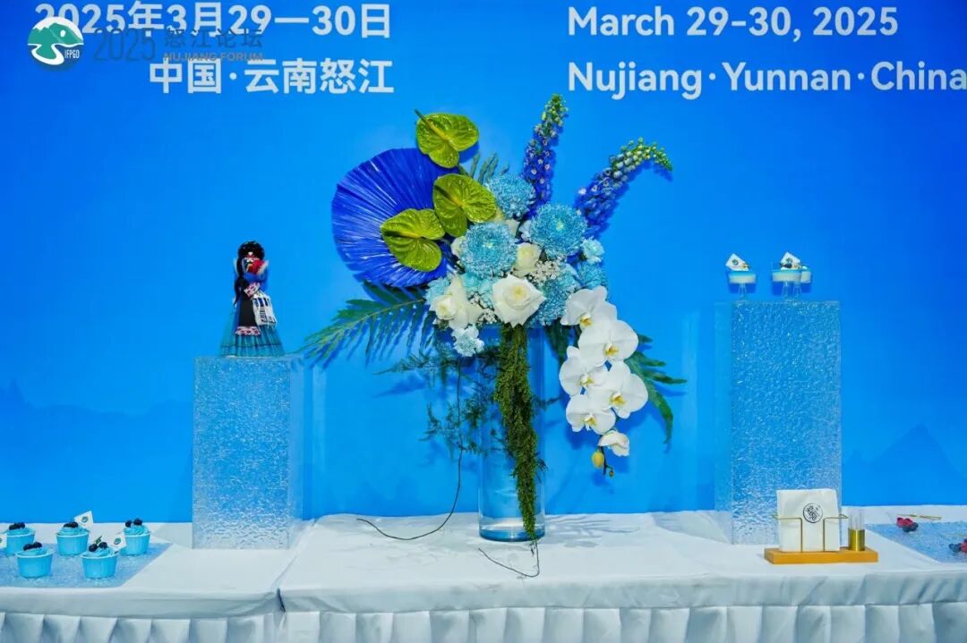 宗宗作品-2025减贫治理与全球发展(怒江)国际论坛 图片