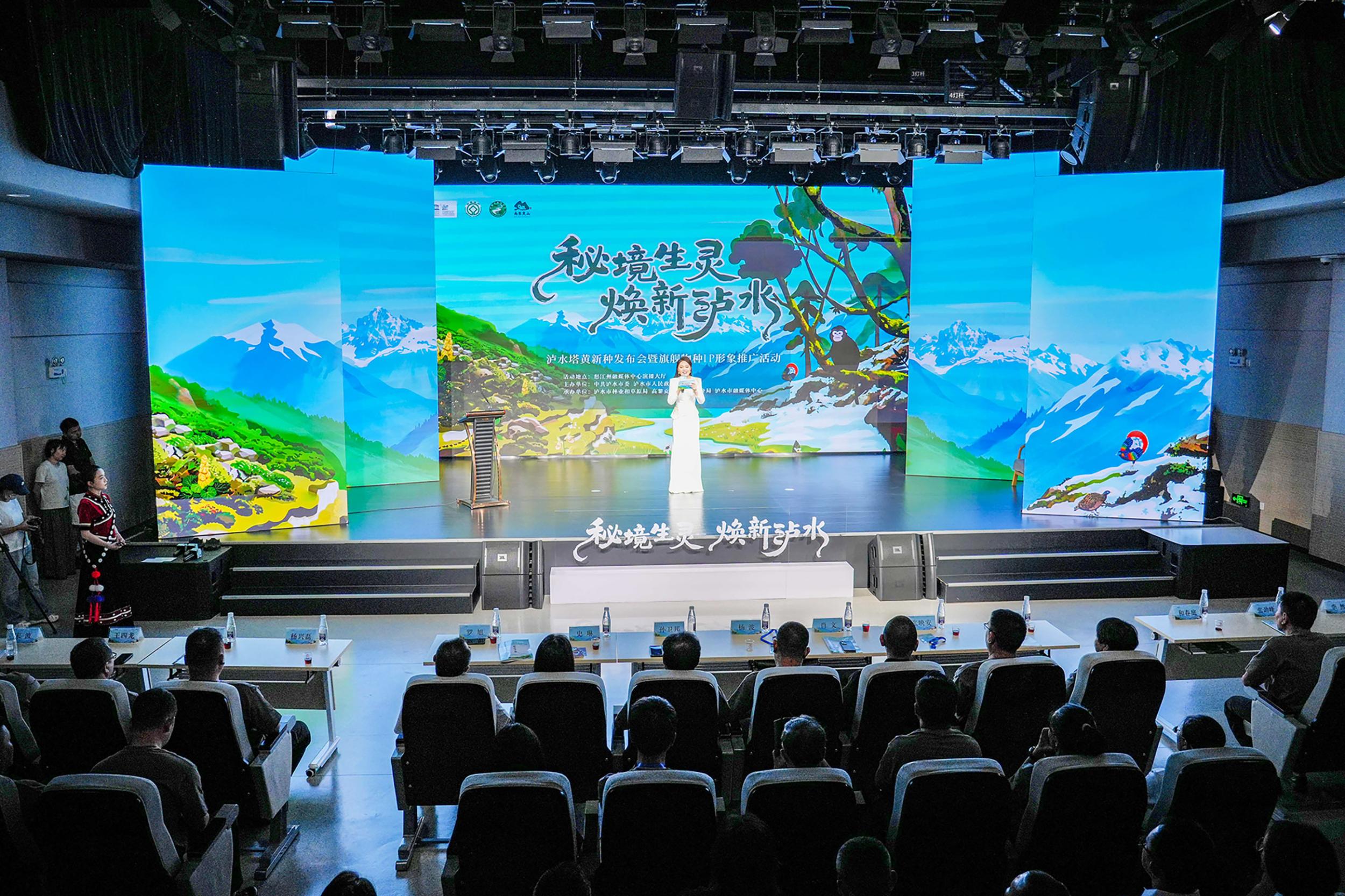 泸水塔黄新种发布会暨旗舰物种IP形象推广活动现场