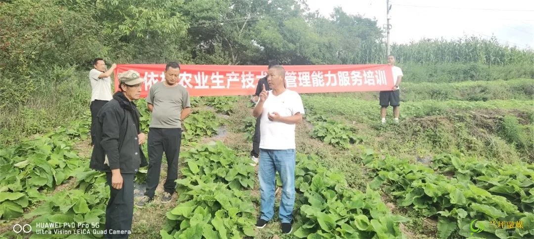 药材000011.JPG