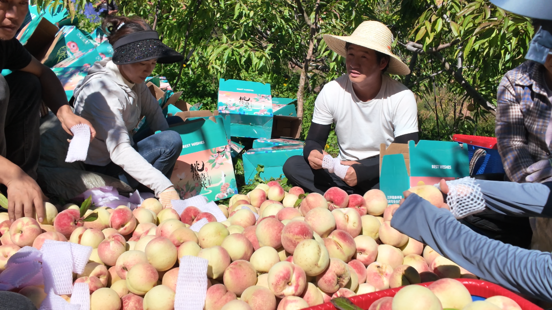 10月17日 (2)(8).png