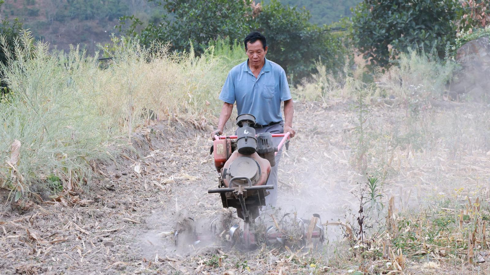 村民在翻新土地